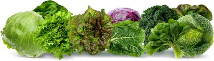 leafy greens help clear the lymphatic system to aid tattoo removal