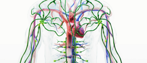 tattoo-removal-lymphatic-system
