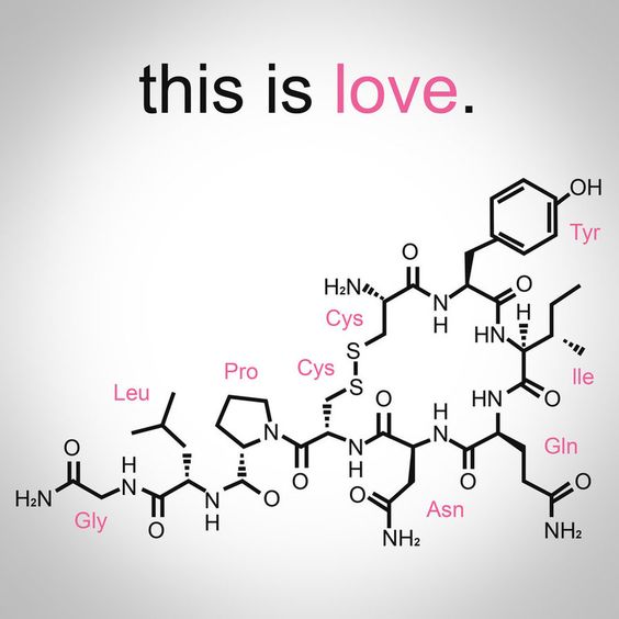 Adrenaline Serotonin Chemical Structure